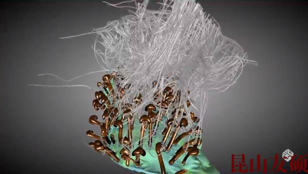 常德蔡司常德X射线显微镜